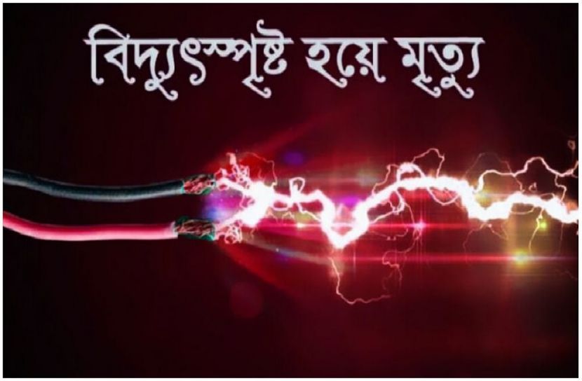 সংগৃহীত