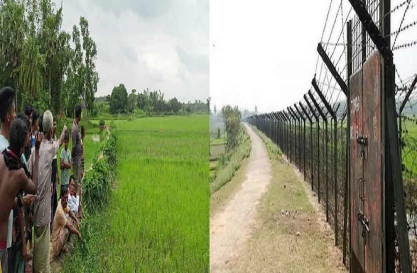 সংগৃহীত