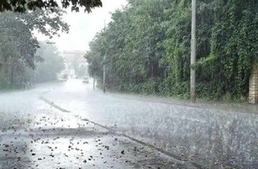 সংগৃহীত