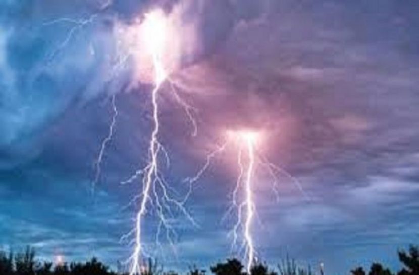 সংগৃহীত