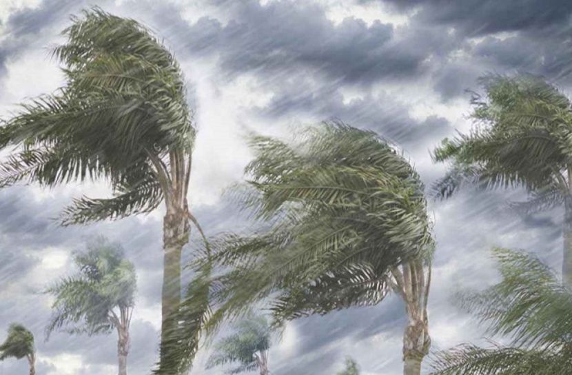 সংগৃহীত