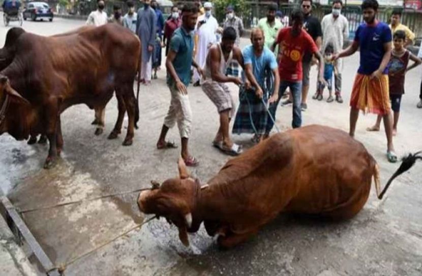 সংগৃহিত ছবি