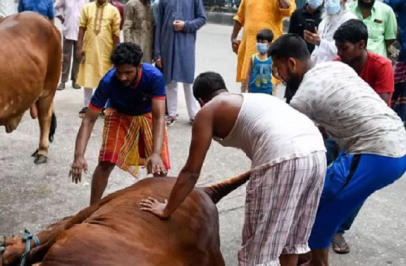 সংগৃহীত