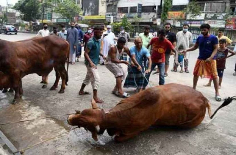 সংগৃহীত