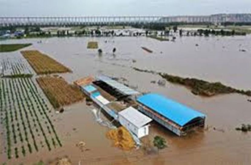 সংগৃহিত ছবি