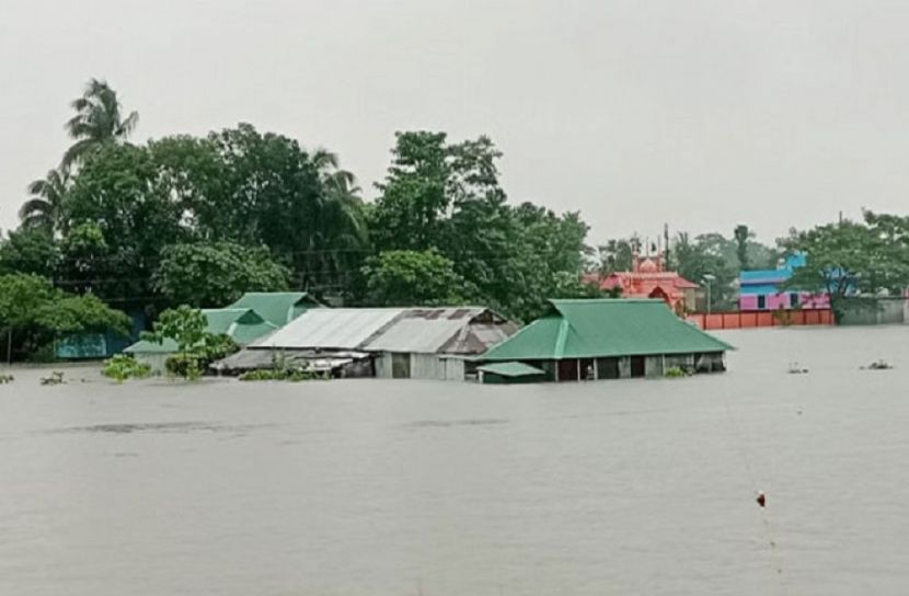 সংগৃহীত