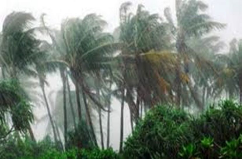 সংগৃহিত ছবি