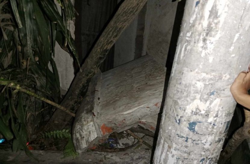 সংগৃহিত ছবি