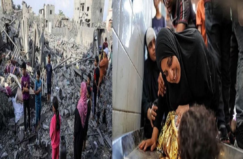 সংগৃহীত