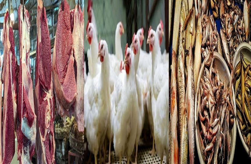 সংগৃহীত