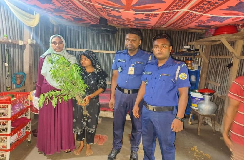 সংগৃহীত ছবি