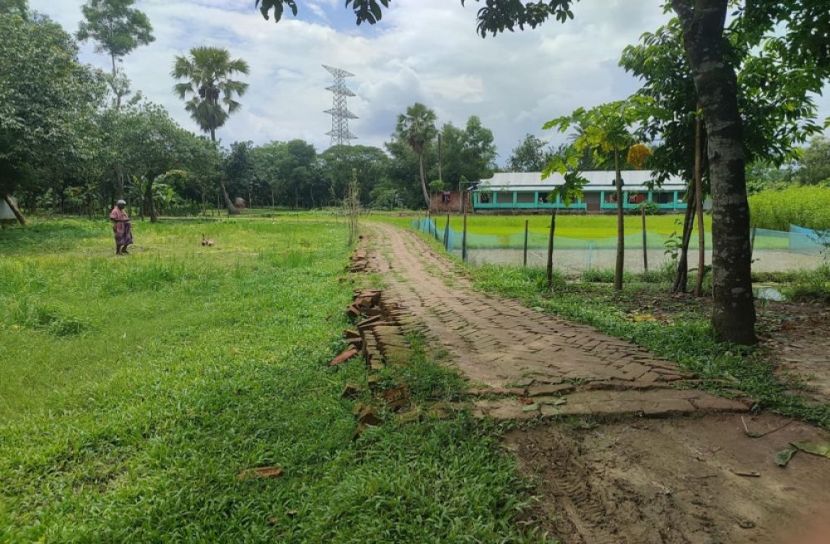 সংগৃহীত ছবি