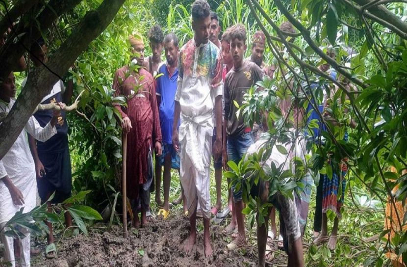 সংগৃহীত ছবি