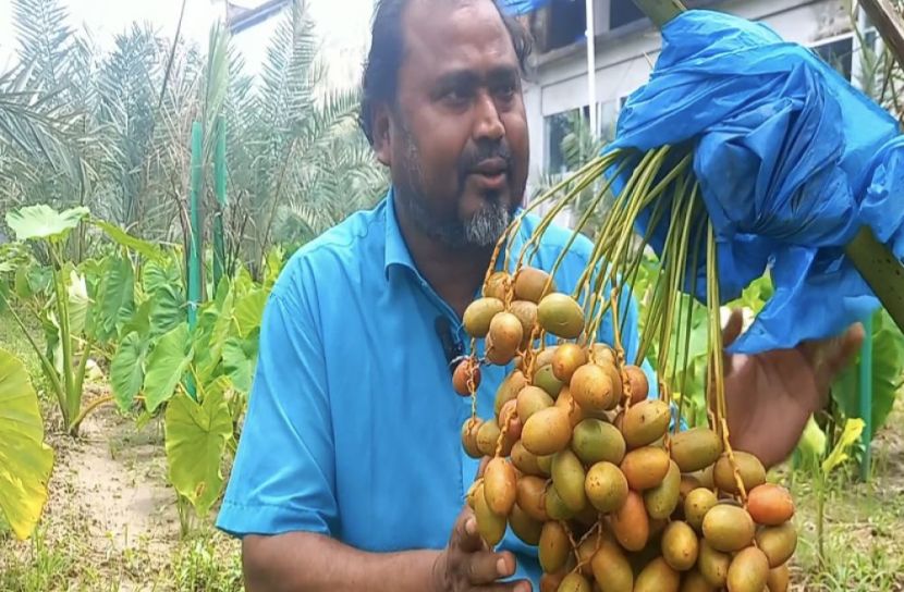 সংগৃহীত ছবি