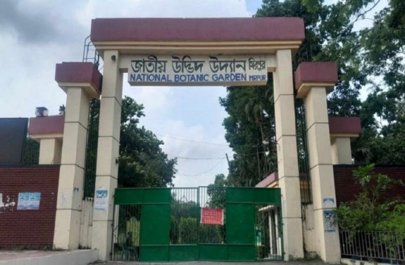 সংগৃহীত ছবি