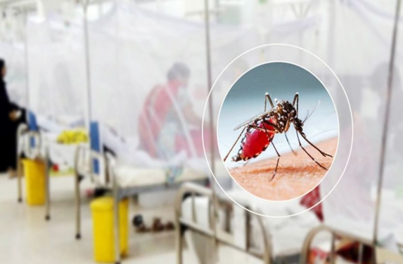 সংগৃহিত ছবি