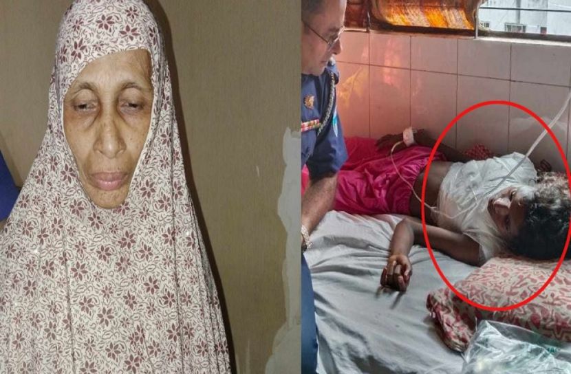 সংগৃহীত ছবি