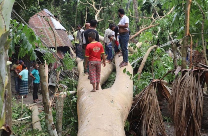 সংগৃহীত ছবি
