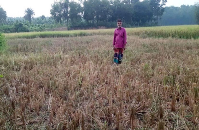 সংগৃহীত ছবি