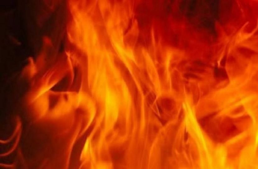 সংগৃহীত ছবি