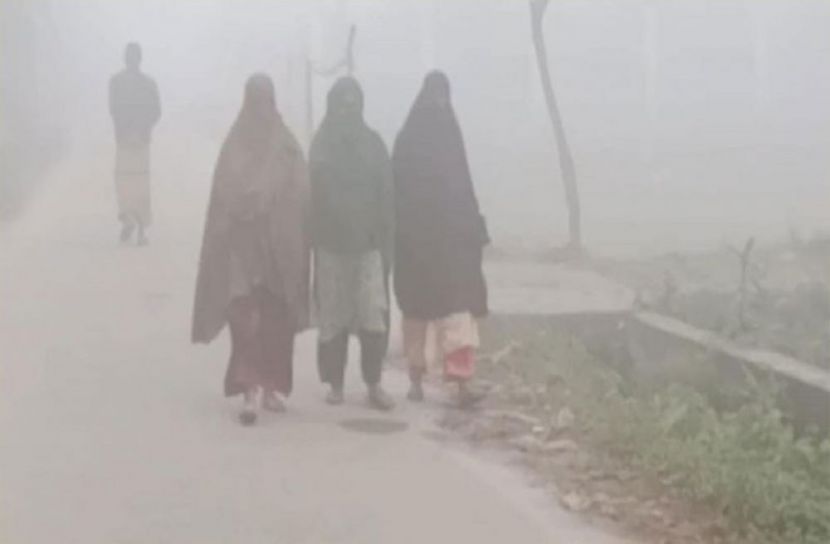 সংগৃহীত ছবি