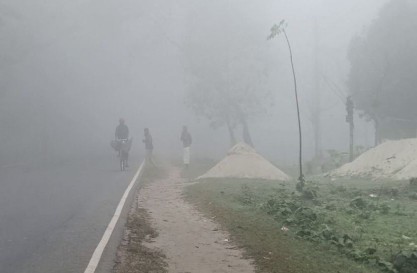 সংগৃহীত ছবি