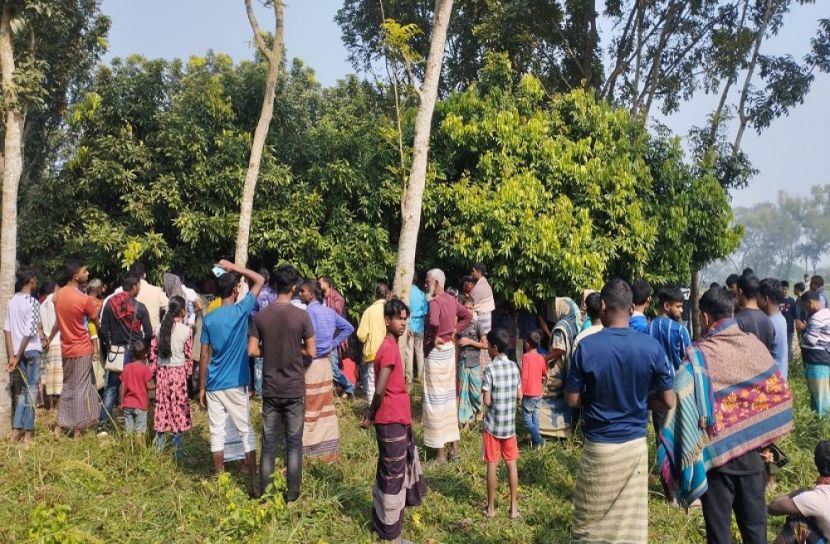 সংগৃহীত ছবি