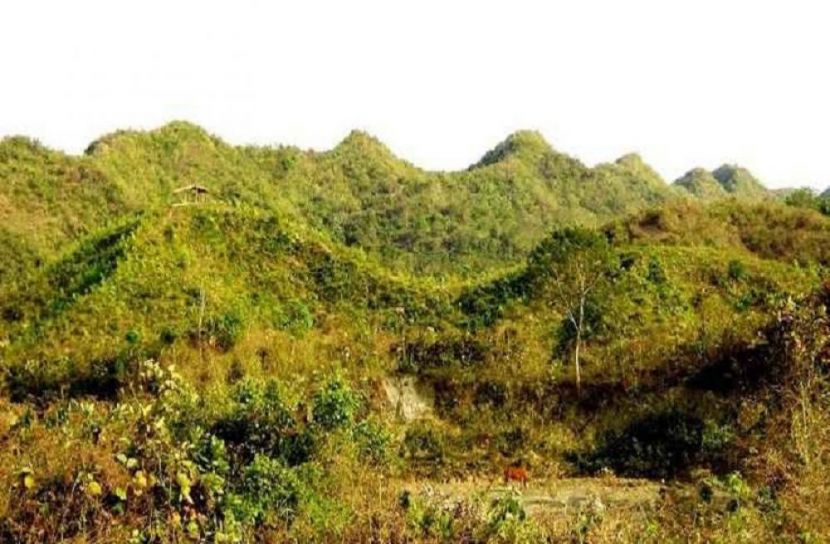 সংগৃহীত ছবি