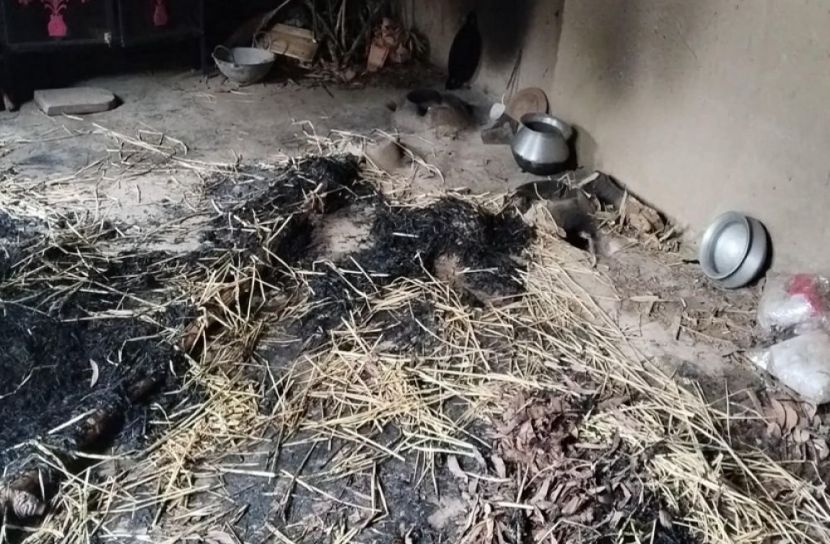 সংগৃহীত ছবি