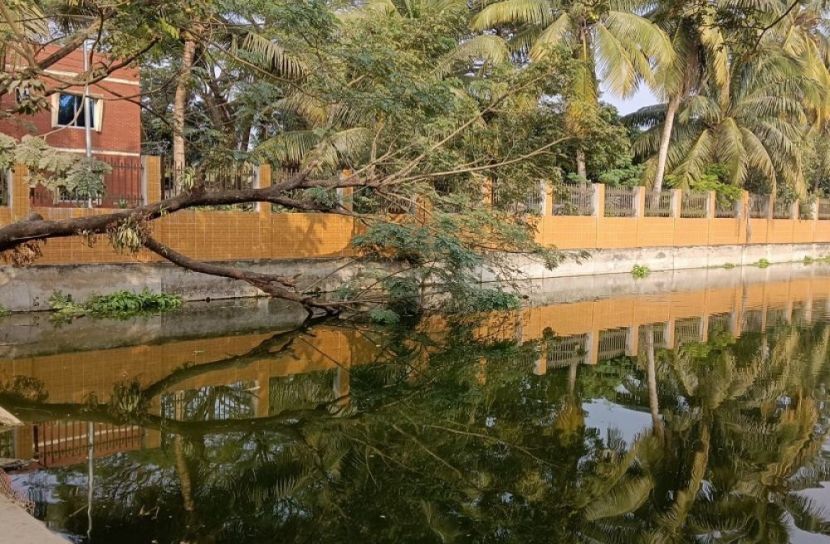 সংগৃহীত ছবি