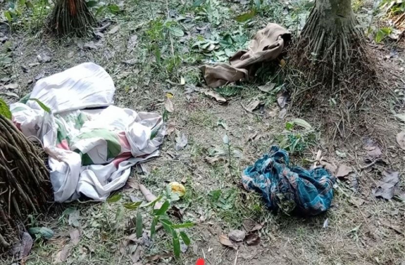 সংগৃহীত ছবি