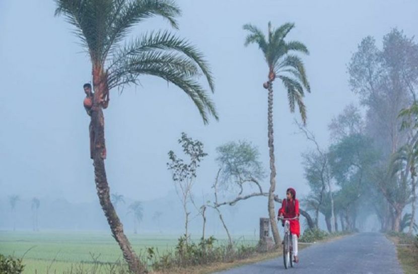 সংগৃহীত ছবি