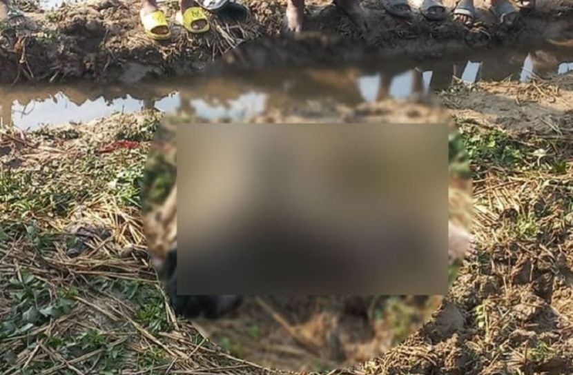 সংগৃহীত ছবি