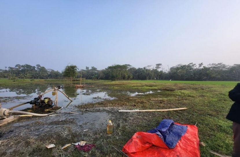 সংগৃহীত ছবি