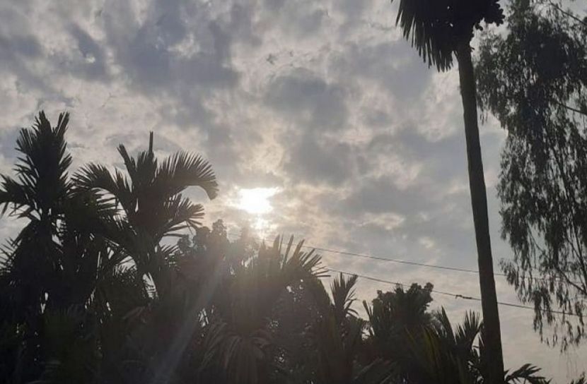 সংগৃহীত ছবি