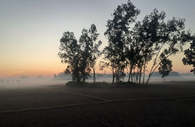 সংগৃহীত ছবি