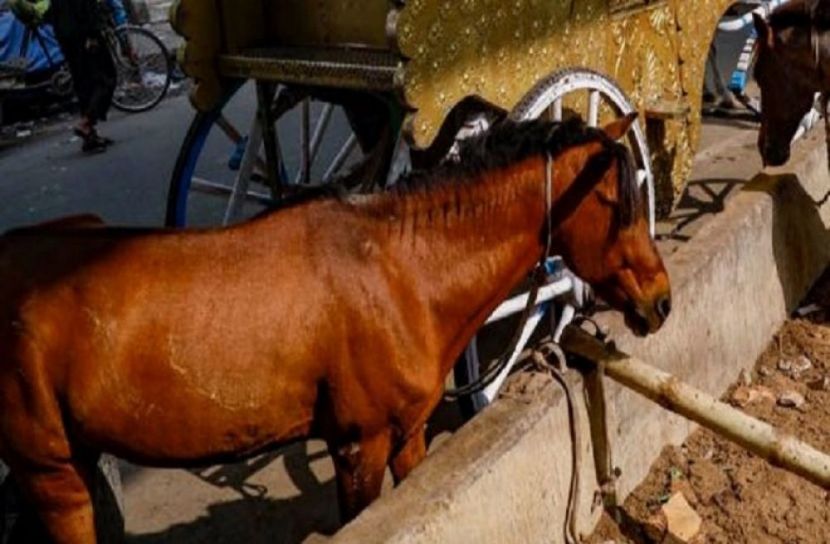 সংগৃহিত ছবি