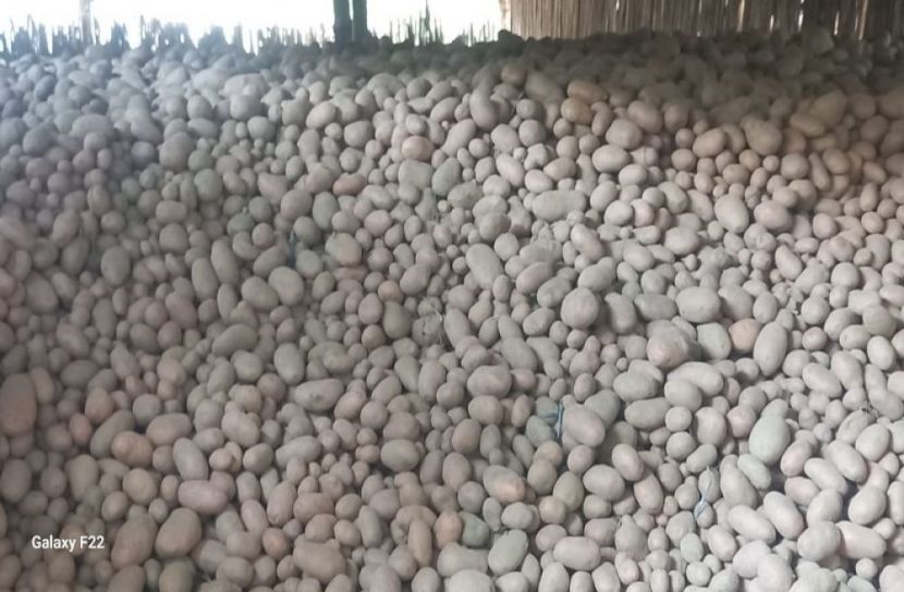 কিশোরগঞ্জ প্রতিনিধি