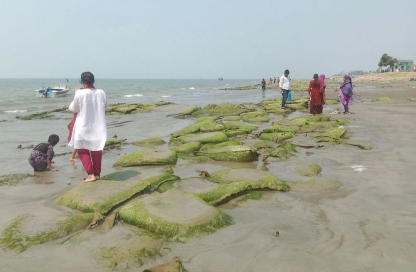 পটুয়াখালী প্রতিনিধি