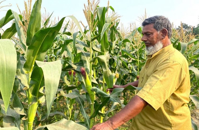 মৌলভীবাজার প্রতিনিধি