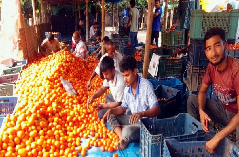 দিনাজপুর প্রতিনিধি