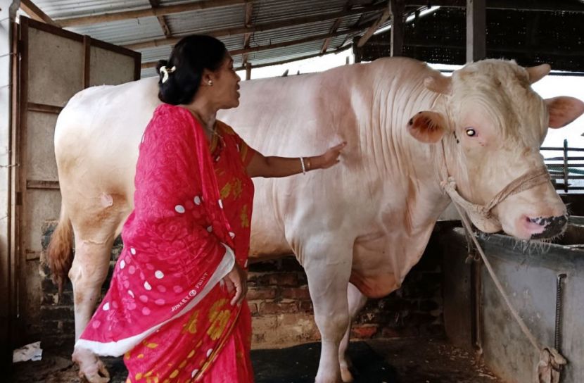 রাজবাড়ী প্রতি‌নি‌ধি