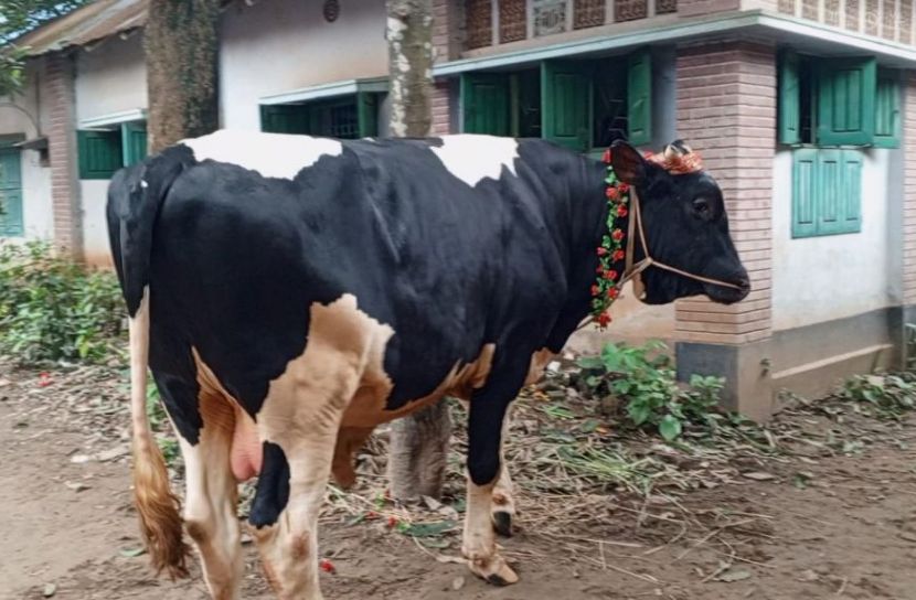 বগুড়া প্রতিনিধি