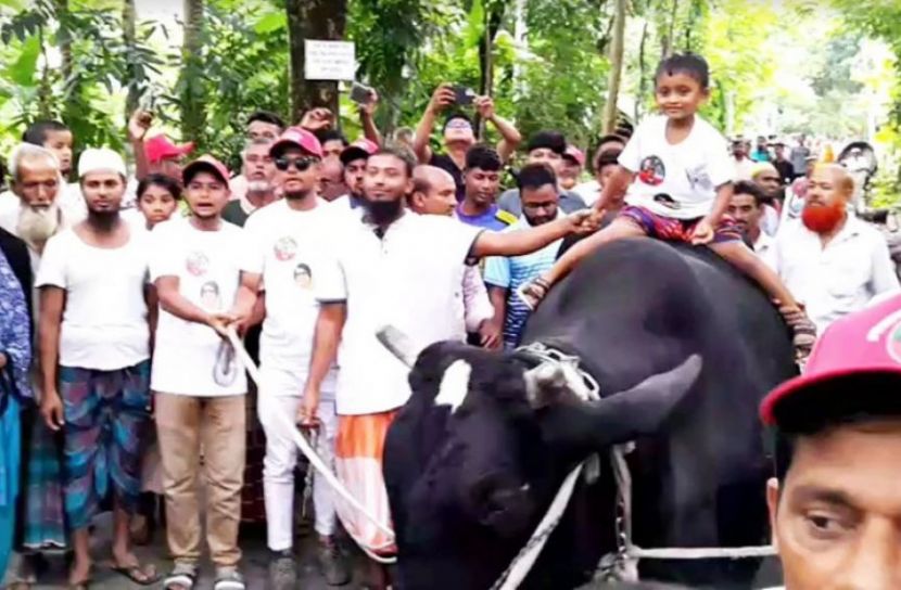 ছবি: সংগৃহীত