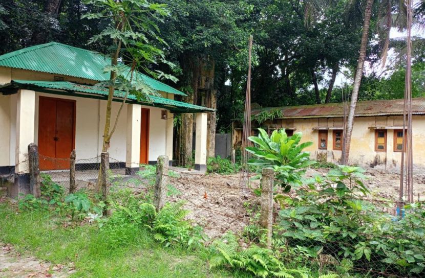 নরসিংদী প্রতিনিধি