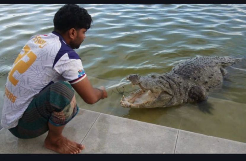 তপু ও ধলা পাহাড়ের হৃদয়স্পর্শী সম্পর্ক