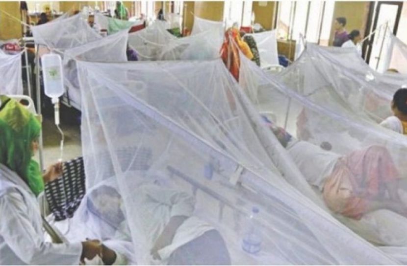 ডেঙ্গুতে তিনজনের মৃত্যু, হাসপাতালে ভর্তি ৪১২