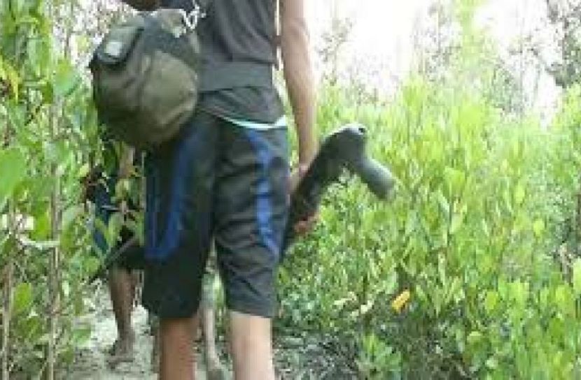 সুন্দরবনে বনদস্যুদের দৌরাত্ম্য, পেশা বদলাচ্ছে জেলেরা 