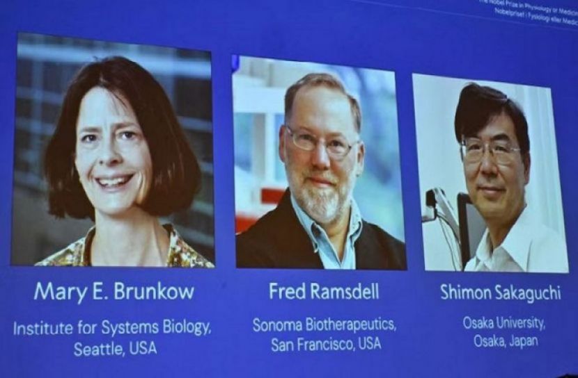 সংগৃহীত