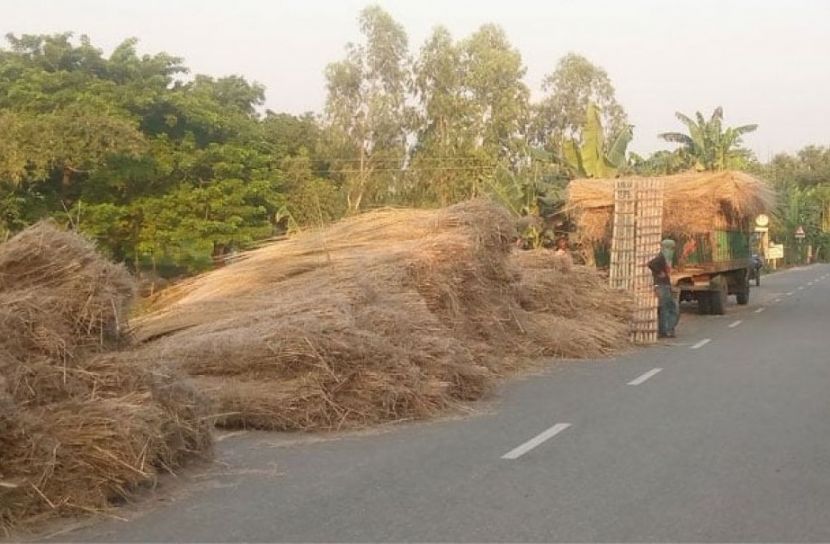 ছবি: সান নিউজ